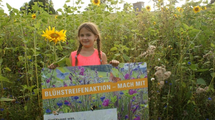 Blühstreifenaktion - mach mit - Oberösterreich