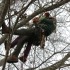 Rettungsübung im Baum
