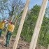 Bäume pflanzen: Maschinenring Mitarbeiter setzen sie fachgerecht, damit sie lange gesund wachsen