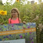 Blühstreifenaktion - mach mit - Oberösterreich