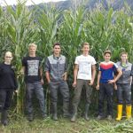Die Schüler der LFS Bruck erleben Pflanzenbau hautnah