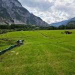 Steinwand-Gut Stegenwald Absiedelung von Tierarten vor Kraftwerksbau