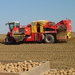 Top-Erntetechnik für Kartoffelbaubetriebe